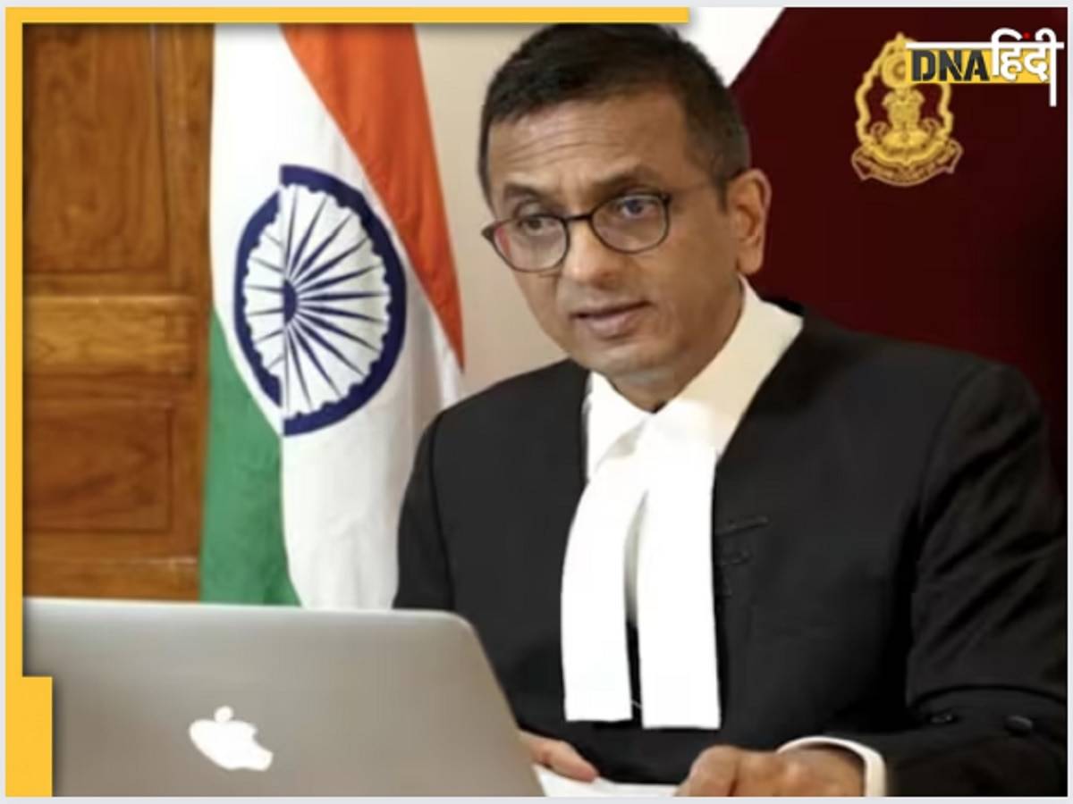 'पहले सीख लीजिए, संविधान पीठ के केस क्या होते हैं' CJI ने वकील को क्यों लगाई ऐसी फटकार