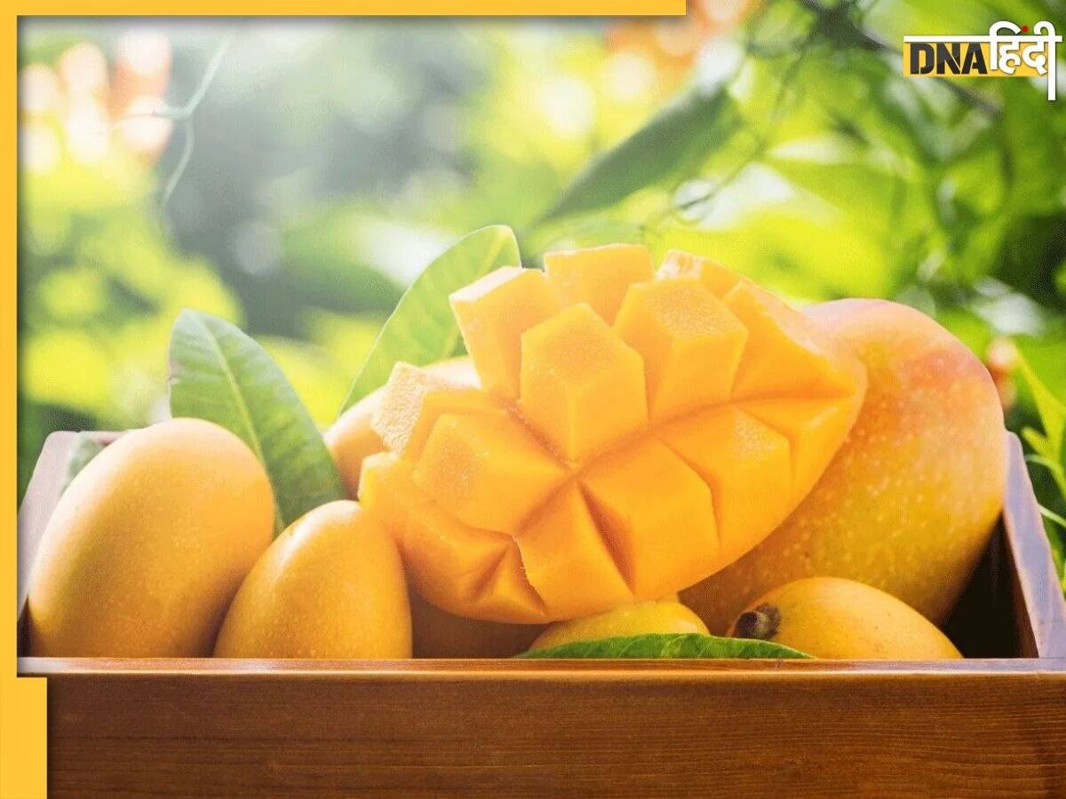 Mangoes Eating Tips: आम के साथ या उसके तीन घंटें बाद तक न करें इन चीजों का सेवन, पेट में जाते ही बन जाएगा जहर