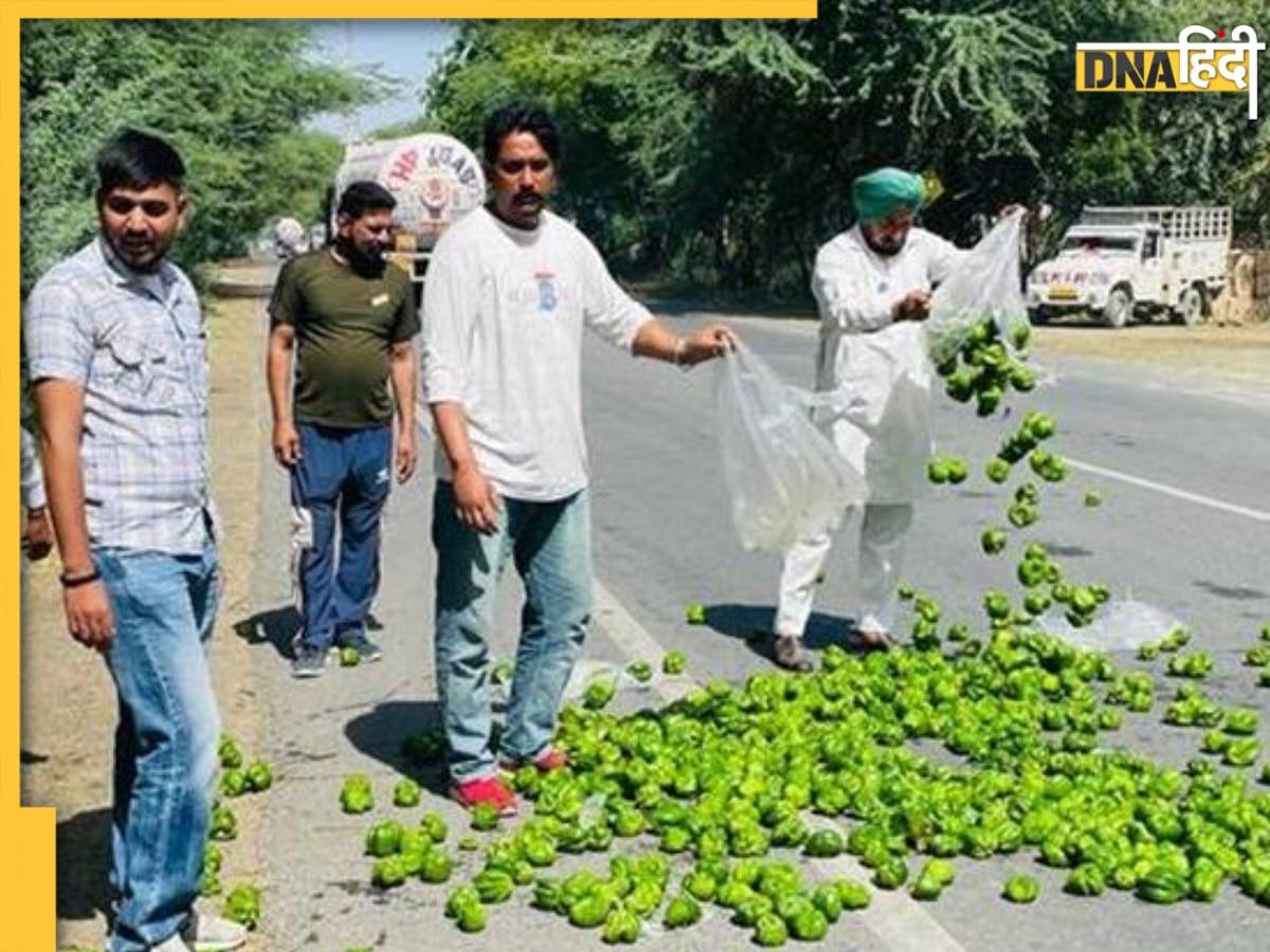 पंजाब की सड़कों पर शिमला मिर्च क्यों फेंक रहे हैं किसान, किस बात से नाराज हैं अन्नदाता?