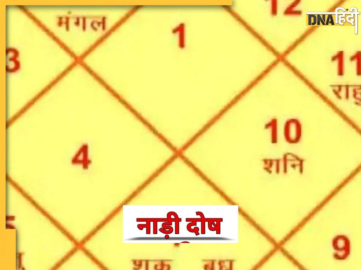 Nadi Dosh: नाड़ी दोष के कारण वैवाहिक जीवन पर पड़ता है बुरा प्रभाव, जानें कैसे करें पहचान और इसे दूर करने के उपाय