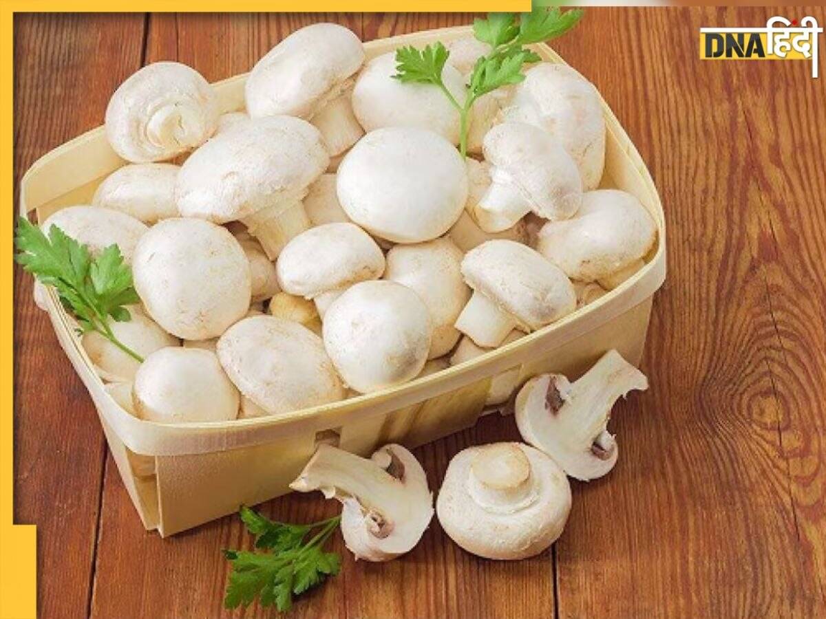 Health Benefits of Mushroom: खोखली-कमजोर हड्डियों में जान फूंक देगी Vitamin D से भरपूर ये एक सब्जी, इससे बना सकते हैं 4 स्पेशल डिश