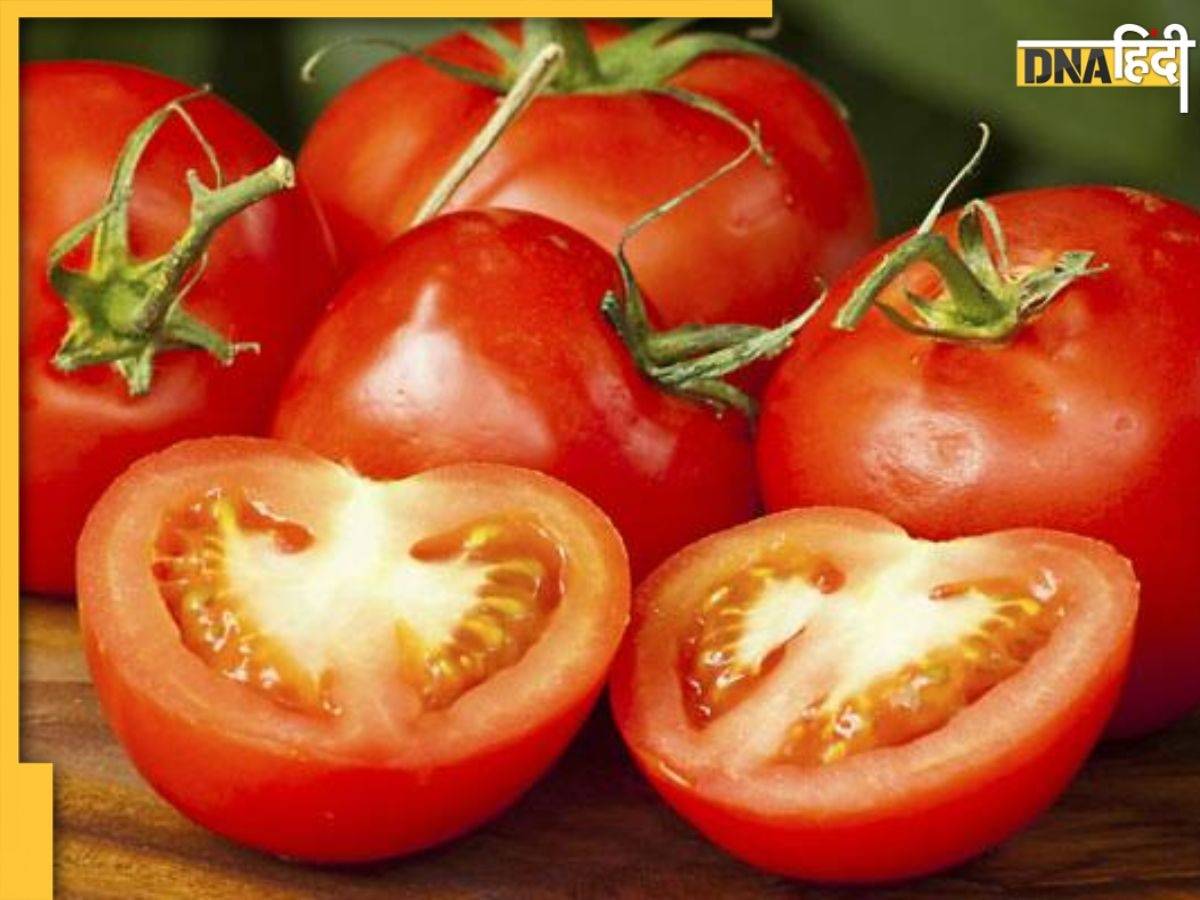 Gardening Tips: इस आसान तरीके से घर के होम गार्डन में लगाएं Tomato Plant, 15 दिन में लाल टमाटर से लदा मिलेगा पौधा