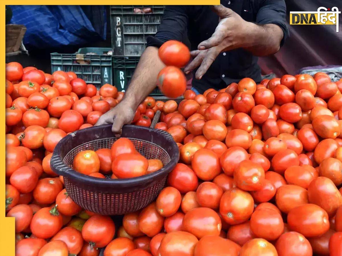 Tomato Price: सब्सिडी वाले टमाटर की कीमतों में आई कमी, केंद्र 70 रुपये प्रतिकिलो में बेचेगी टमाटर