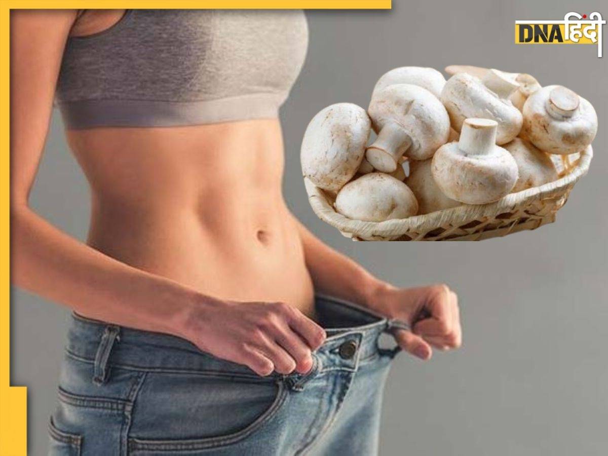 Mushroom For Weight Loss: तेजी से घटाना है वजन तो रोज सुबह खाएं ये एक चीज़, महीने भर में हो जाएंगे स्लिम-ट्रिम 