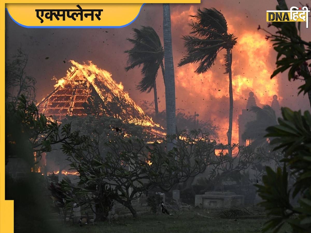 Maui Fire: अमेरिका के जंगल में लगी आग से 53 की मौत, जान बचाने के लिए समुद्र में कूदे लोग, हर ओर तबाही का मंजर