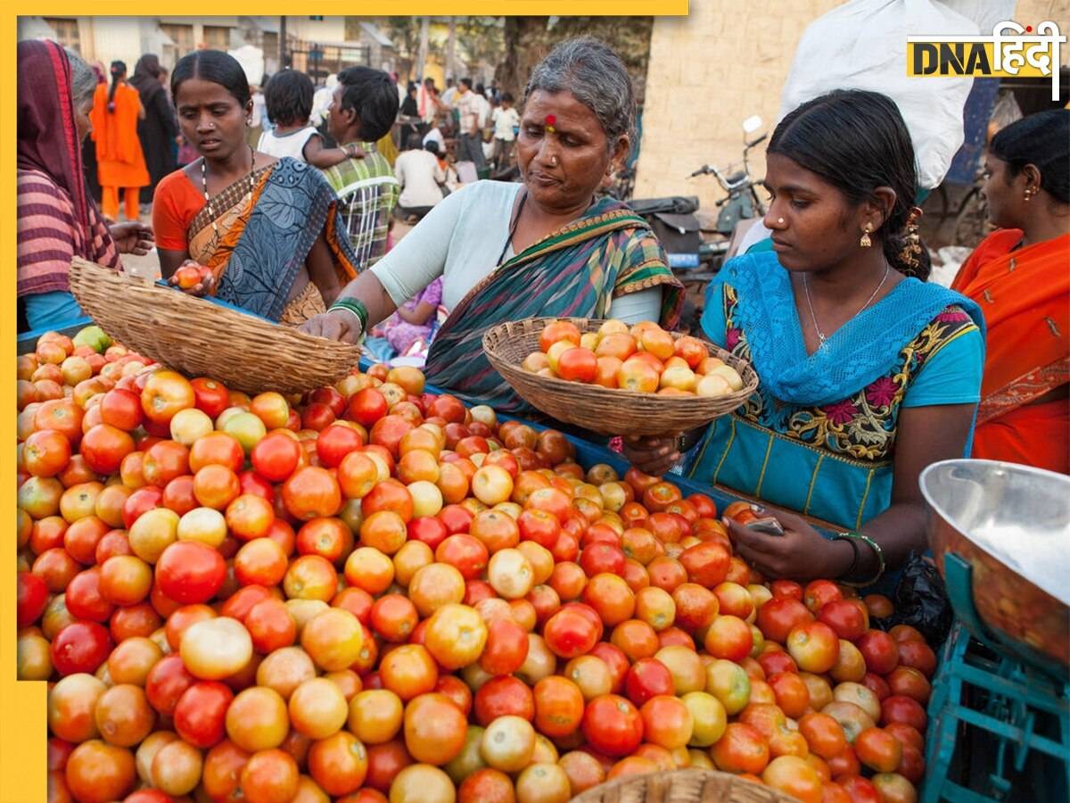 New Tomato Price: महंगे टमाटरों से आजादी, कल से इस दाम पर बिकेगी ये सब्जी