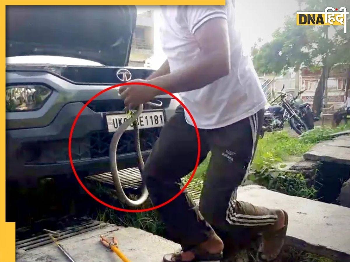 टाटा पंच SUV में छिपकर बैठा था King Cobra, देखकर शख्स के उड़े होश, देखें Video