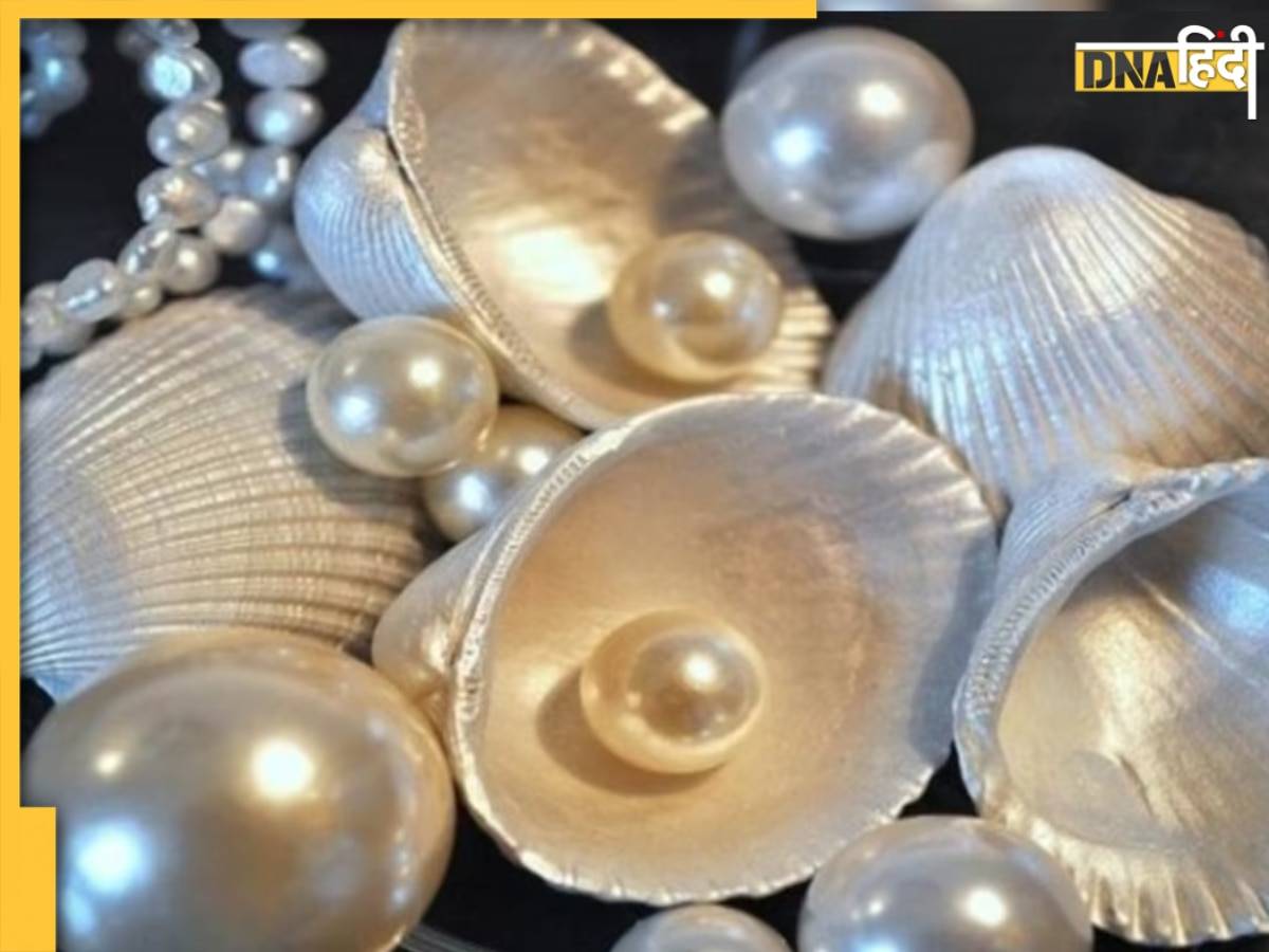 Pearl Gemstone: इन 4 राशियों के जातक भूलकर भी न पहनें मोती, घर में नहीं रुकेगा पैसा, हमेशा रहेंगे बीमार