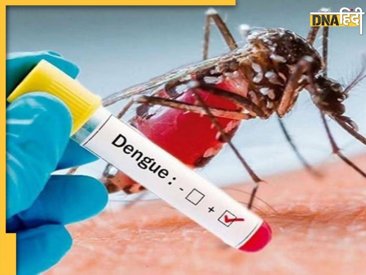 Dengue Treatment: बिना अस्पताल जाए, घर पर ही रख सकते हैं डेंगू के मरीज का ख्याल, सिर्फ इन बातों का रखें ध्यान