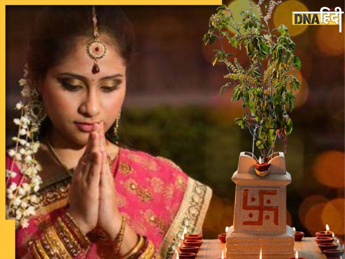 Tulsi Upay: एकादशी से पंचमी तक, तुलसी के पौधे पर जरूर चढ़ाएं ये 5 चीजें, दुर्भाग्य होगा दूर