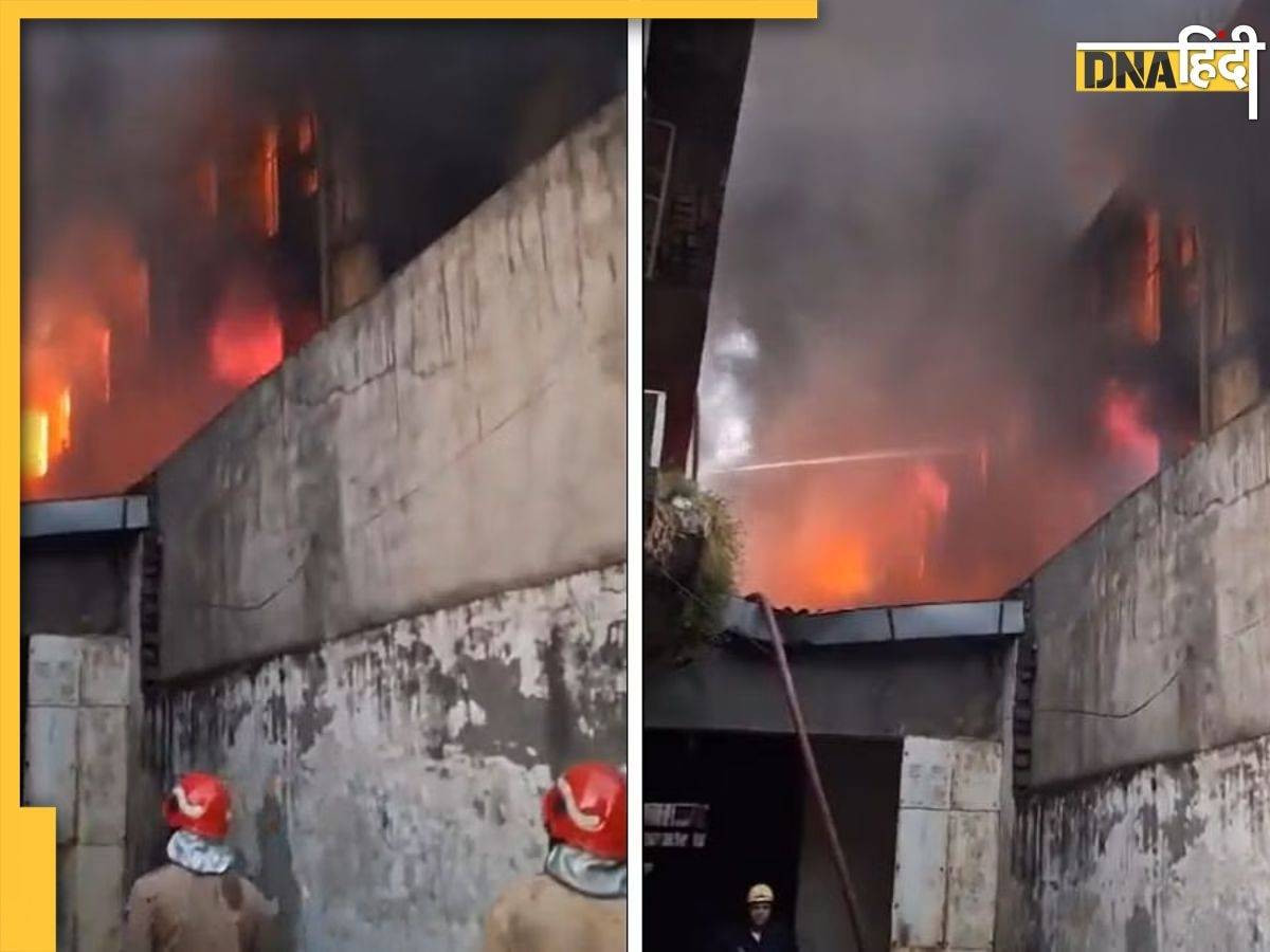 Delhi Fire: दिल्ली में पीरागढ़ी मेट्रो स्टेशन के पास लगी भीषण आग, फायर ब्रिगेड की 33 गाड़ियां मौजूद