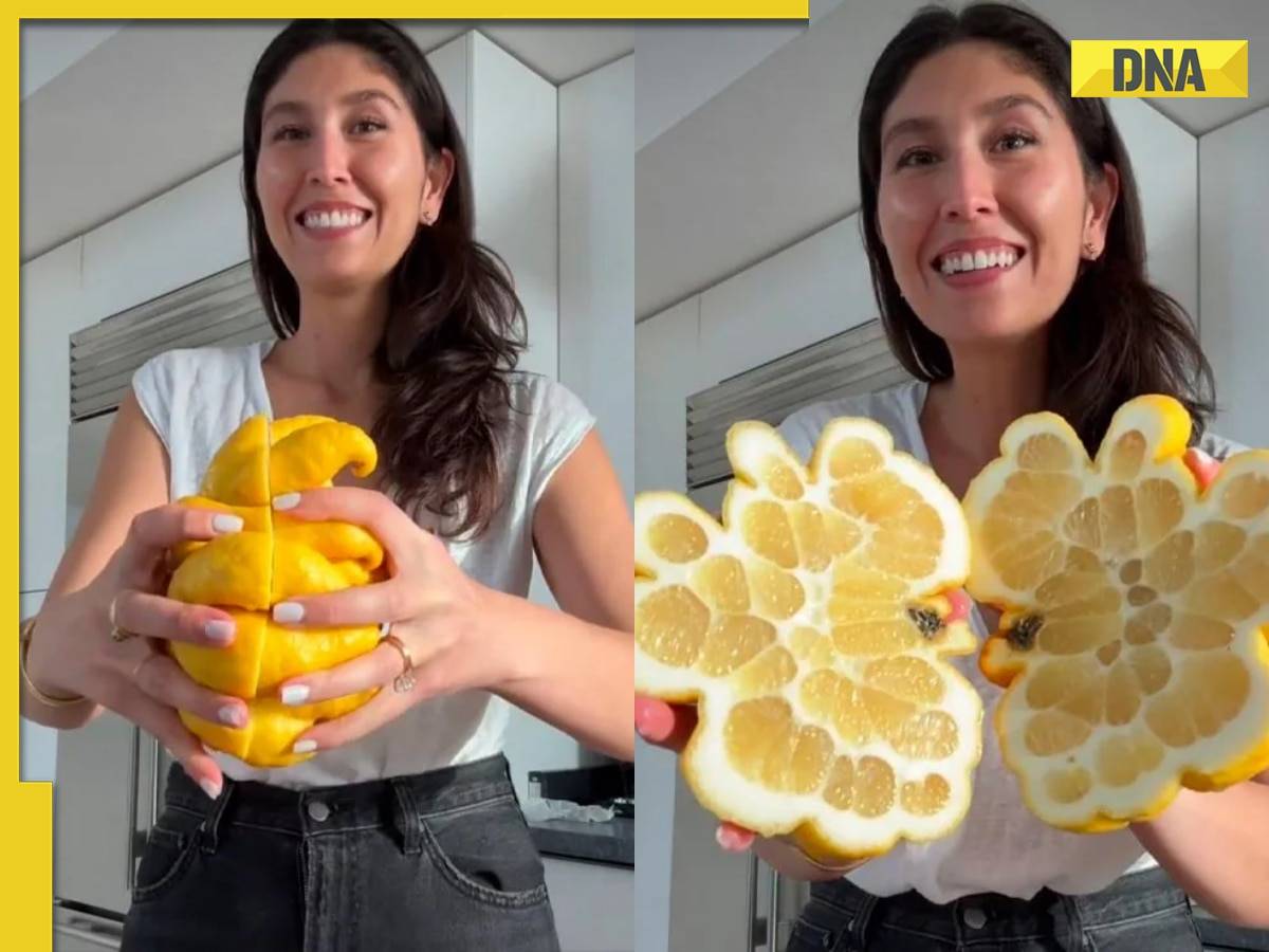 'Monstrous fruit': Giant lemon of unique shape goes viral with 25 million views