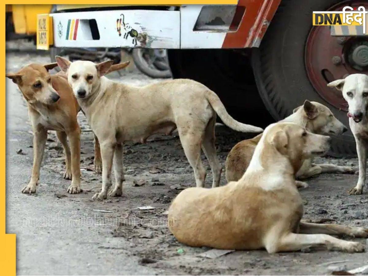 तेलंगाना: बच्चे को खा गए कुत्ते, सोता रहा पिता, पड़ोसियों ने सुनाई दर्दनाक कहानी