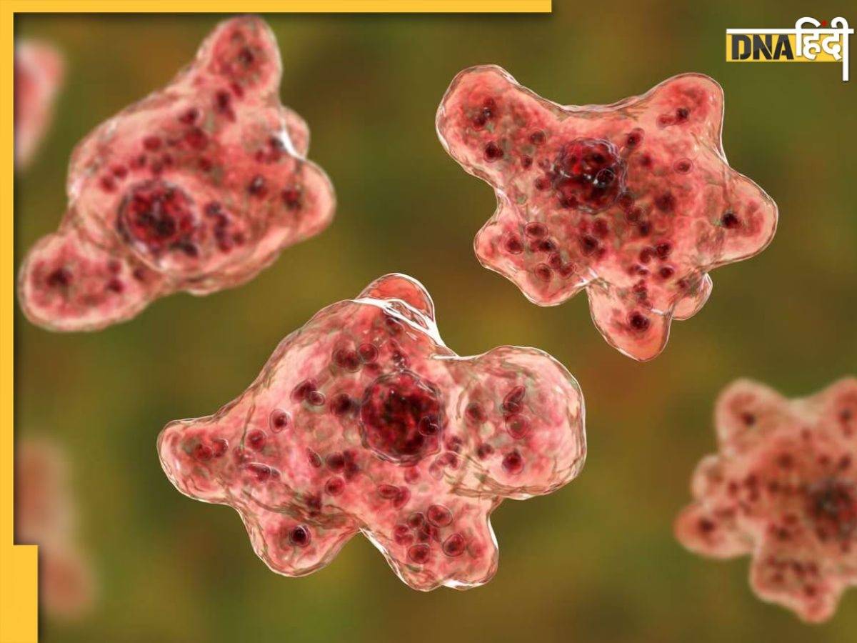 क्या है दिमाग खाने वाला कीड़ा Naegleria Fowleri? जिसने ले ली 5 साल की बच्ची की जान 