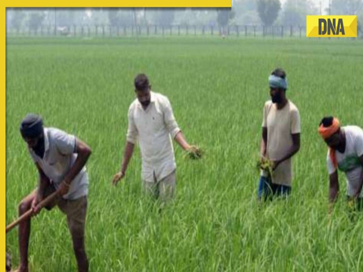 PM Kisan 17th Installment Date 2024: PM Modi to release Rs 20,000 crore for farmers on..