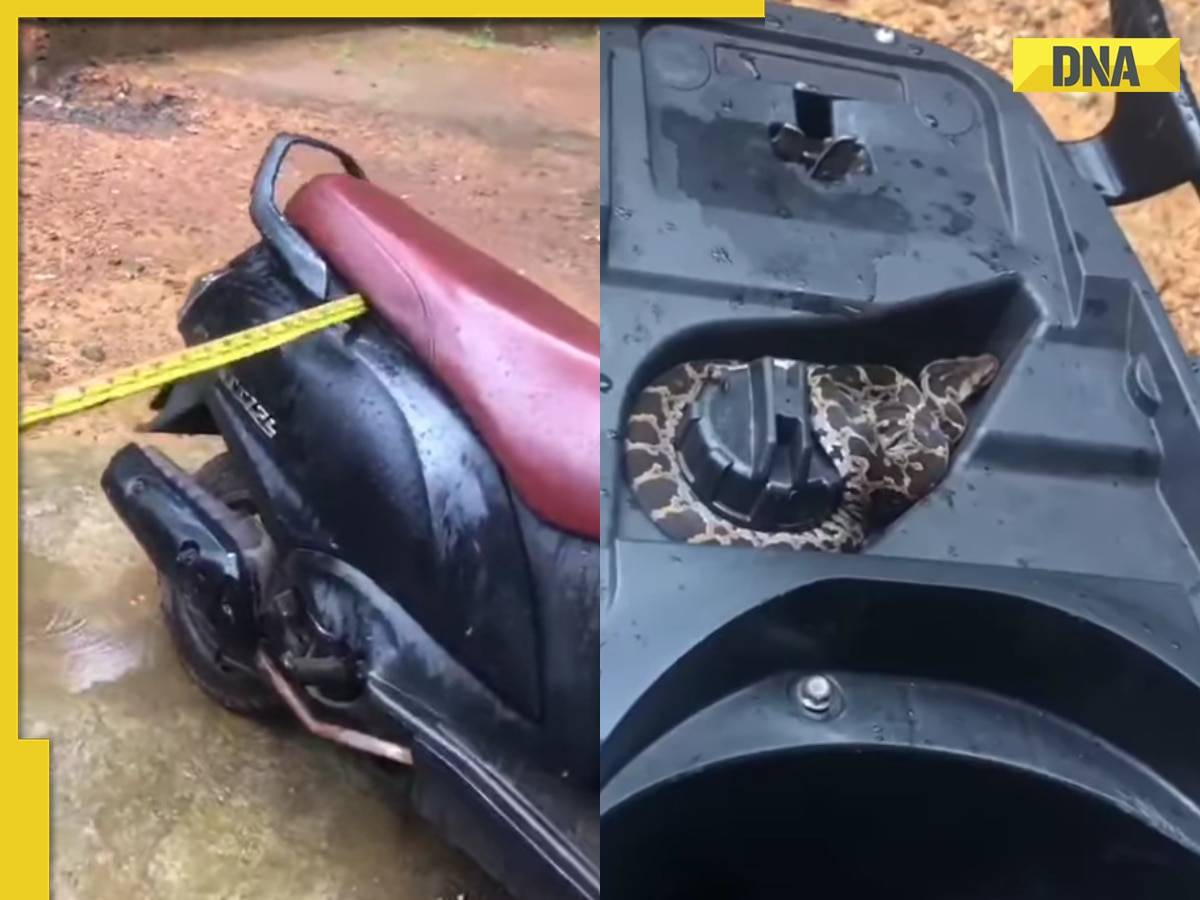 Shocking: Python found coiled around scooter's petrol tank in viral video, watch