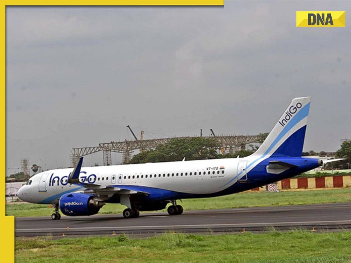 What is cute fee which IndiGo airlines is charging from its customers? Here's all you need to know