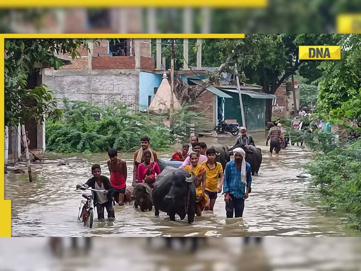 Weather update: IMD issues red alert for flash flood in Gujarat, Rajasthan, Madhya Pradesh till this day; check forecast