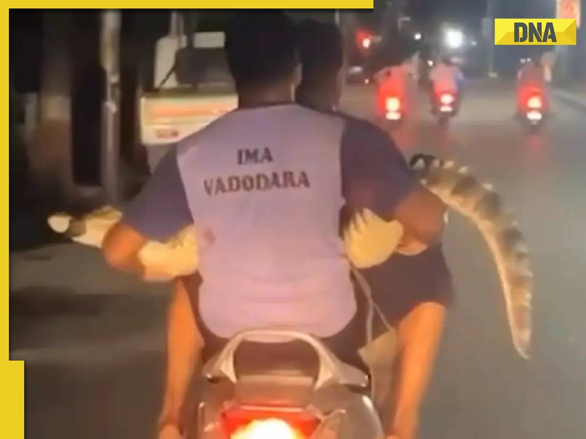 Gujarat flood: IMA volunteers in Vadodara rescued stranded crocodile on scooter, video goes viral