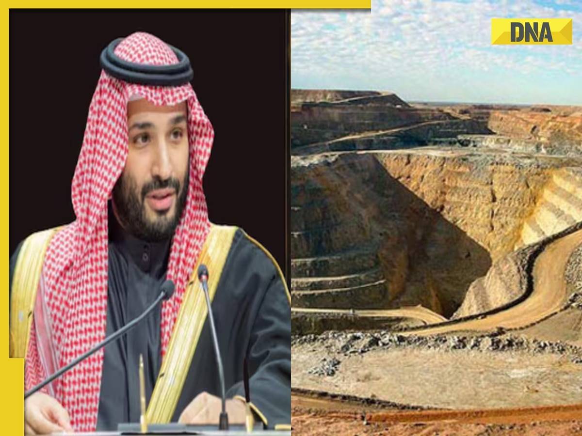 Mohammed bin Salman's Saudi Arabia sets eyes on this hidden treasure of Pakistan, offers to buy 15% stake, reason is...