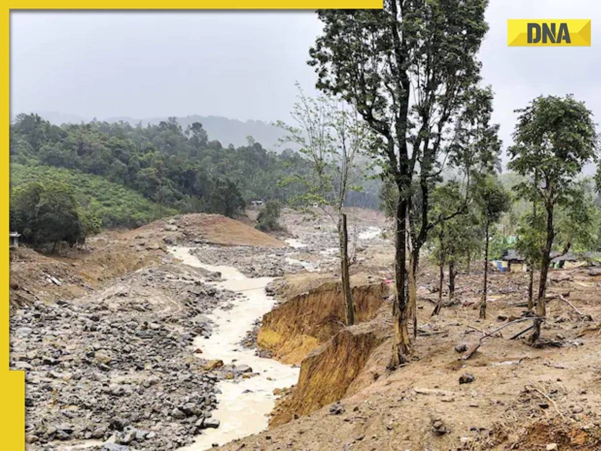 6 dead, 3 injured due to heavy rain, landslides in Nagaland; Rs 4 lakh ex-gratia announced