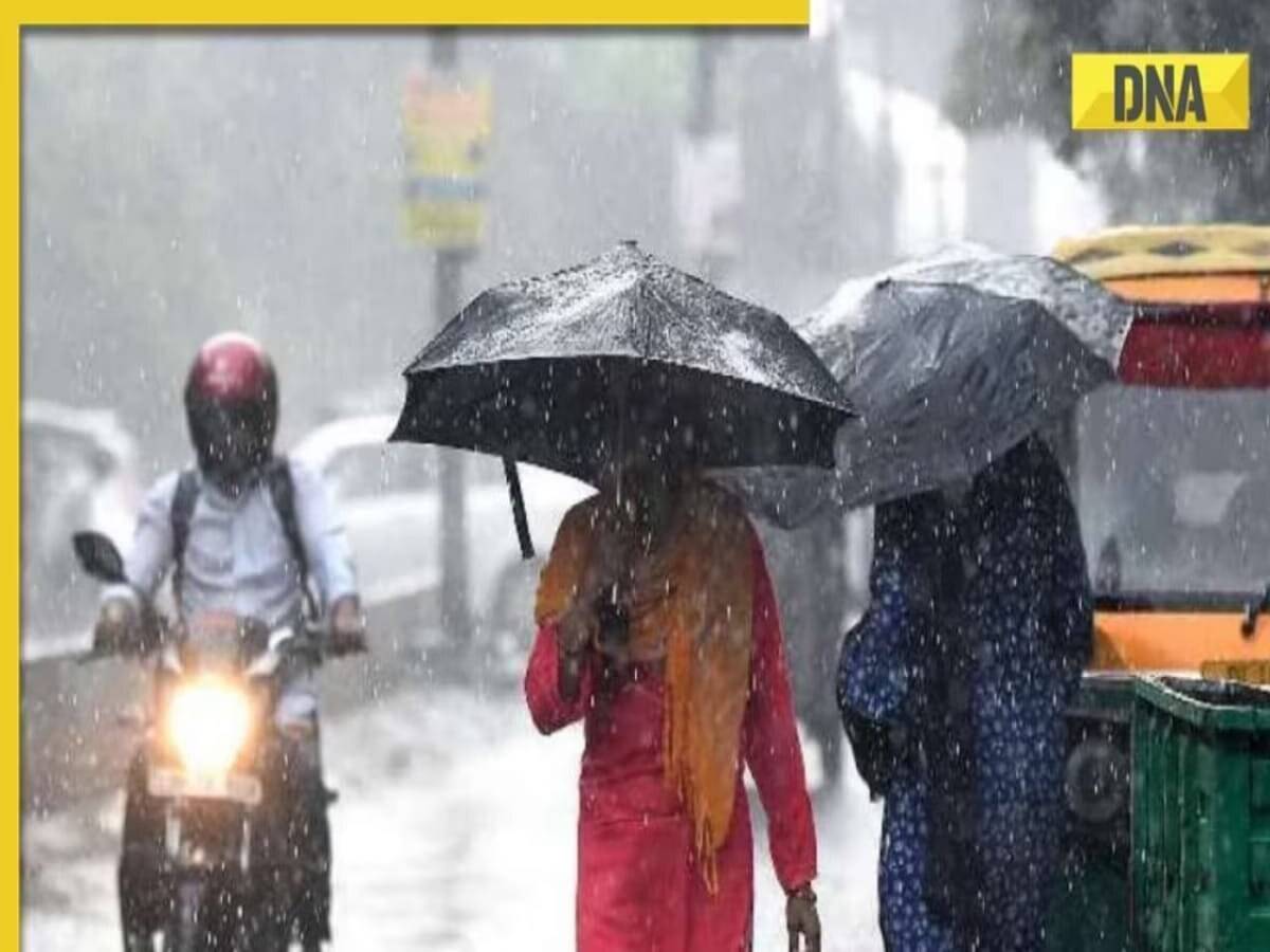 Weather Update: IMD issues red alert for heavy rainfall in Odisha, other states; check full forecast for this week