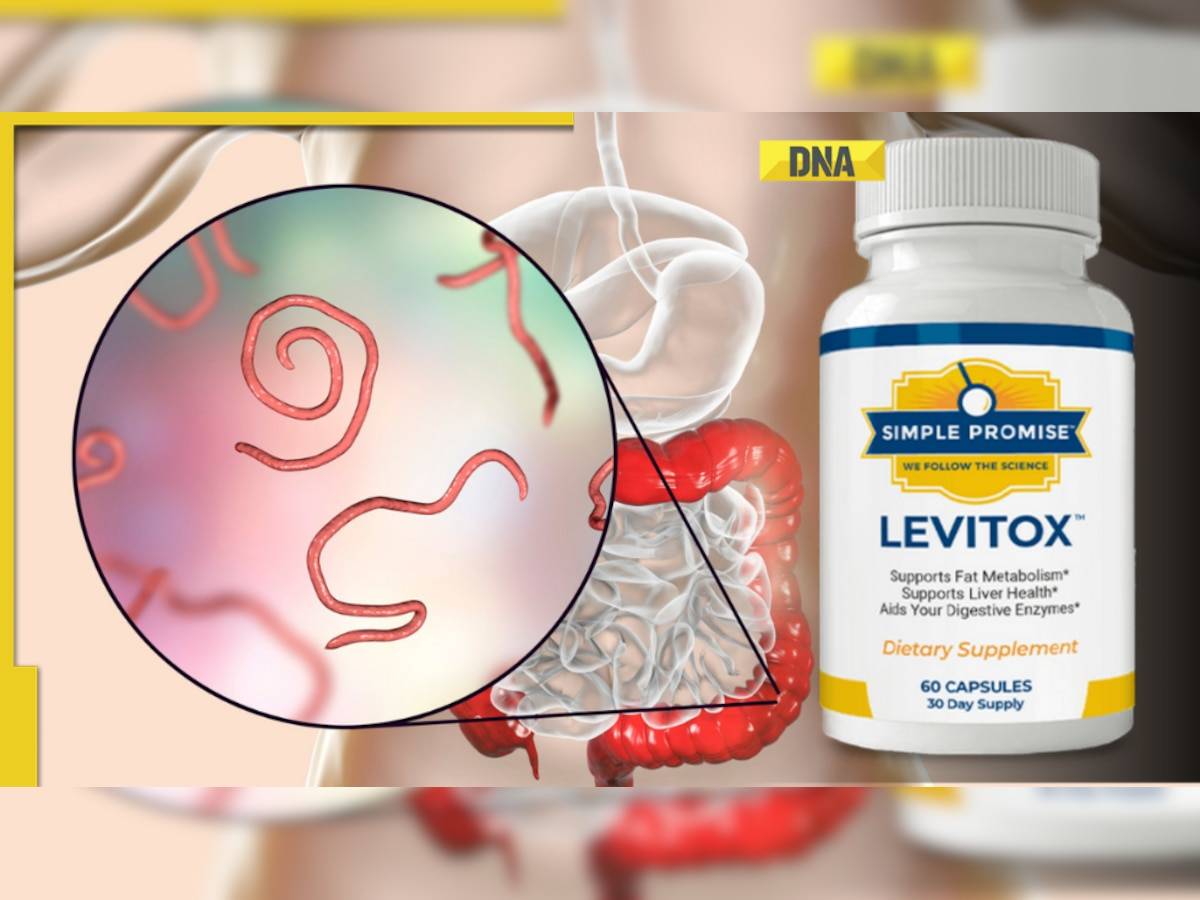 Levitox Reviews: An In-Depth Analysis of Ingredients, Efficacy, and Safety Concerns for Parasite Removal