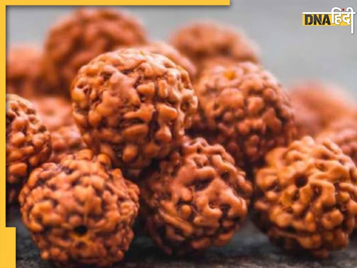 Rudraksha Rules: रुद्राक्ष धारण करने के बाद इन बातों का रखें ध्यान, वरना होगा नुकसान ही नुकसान