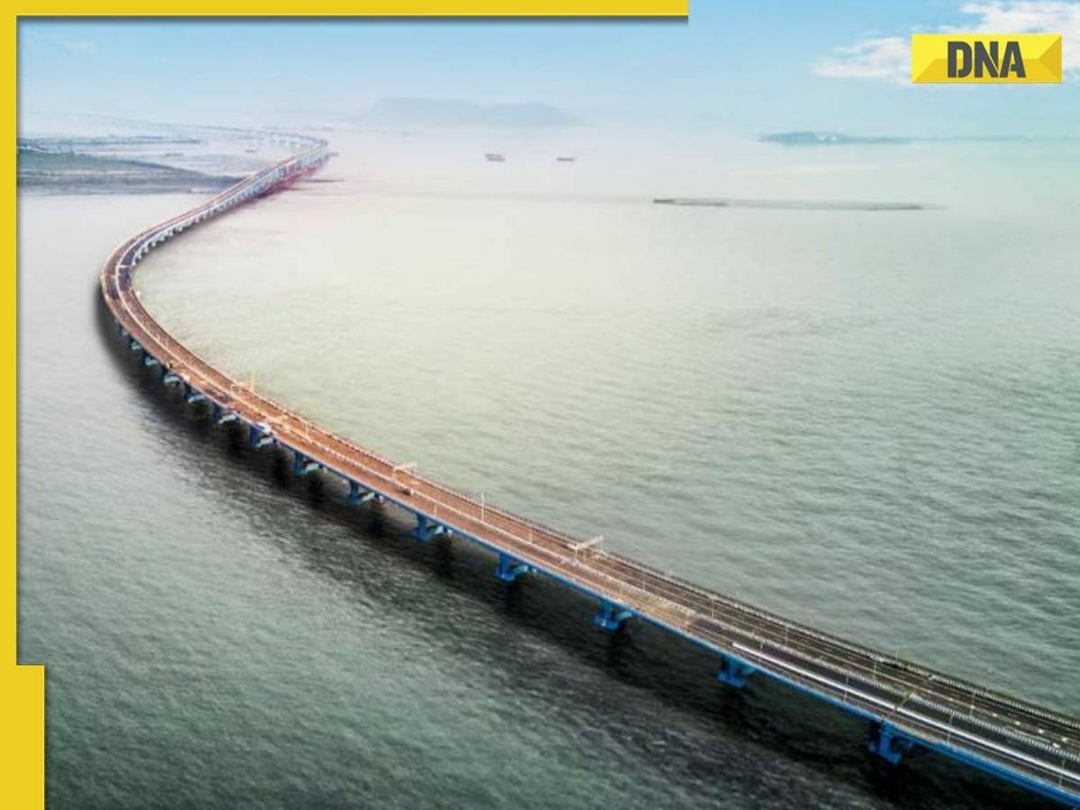 In second incident in 3 days, Mumbai businessman jumps to death from Atal Setu sea bridge