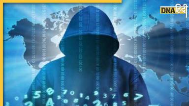 Cyber Fraud: अमीर युवतियों को प्रेग्नेंट करने के लिए मिलेगी लाखों रुपये सेलरी, लुभावना ऑनलाइन ऑफर देख लुटा दी जेब