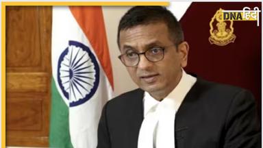 'पहले सीख लीजिए, संविधान पीठ के केस क्या होते हैं' CJI ने वकील को क्यों लगाई ऐसी फटकार