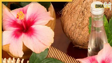 Hibiscus Prevent Hair Fall: बालों के झड़ने से हैं परेशान तो इन फूलों का करें इस्तेमाल, जड़ों तक मजबूत और घने हो जाएंगे बाल