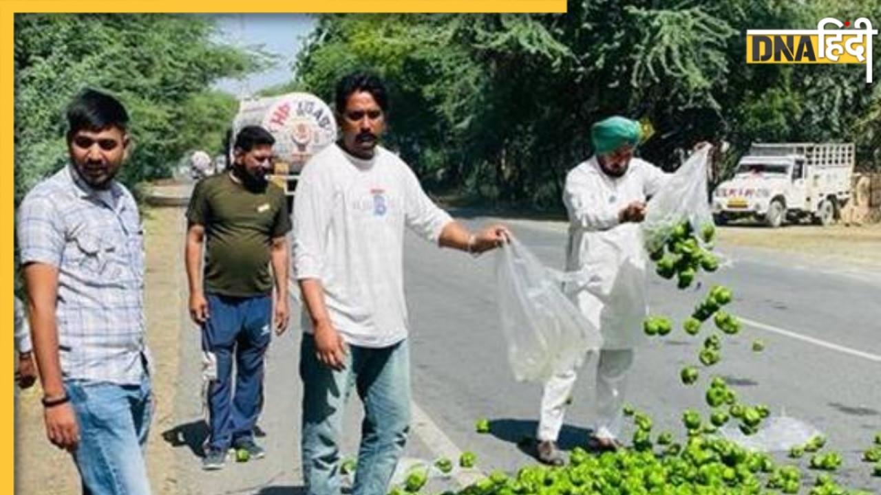 पंजाब की सड़कों पर शिमला मिर्च क्यों फेंक रहे हैं किसान, किस बात से नाराज हैं अन्नदाता?