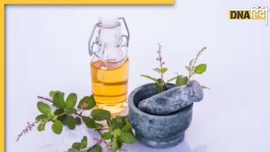 Tulsi Toner Benefits: गर्मी और पसीने से स्किन पर रहती है चिपचिपाहट तो इस तरह बना कर लगाएं तुलसी टोनर, मिनटों में दूर होगी समस्या 