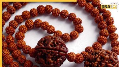 Rudraksha Benefits: रुद्राक्ष धारण करने से पहले जान लें क्या होते हैं इसके परिणाम, किन नियमों से करें धारण