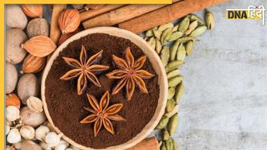 Star Anise Benefits: कैंसर-हार्ट डिजीज और डायबिटीज जैसी बीमारियों का रिस्क कम करता है किचन में रखा ये एक मसाला, जानिए इसके 5 अन्य फायदे