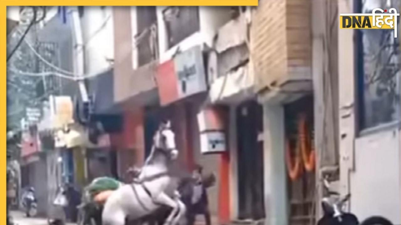 कुत्ते ने किया घोड़े की नाक में दम, दुलत्ती खाकर भी नहीं सुधरा, देखें मजेदार VIDEO