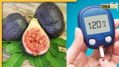 Fresh Figs Control Diabetes: डायबिटीज मरीज ड्राई अंजीर खाएं या फ्रेश? जानें कौन सा है आपके लिए बेहतर