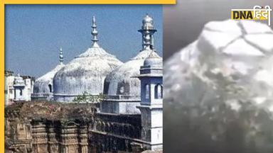 Gyanvapi Mosque Case: कथित शिवलिंग की होगी मॉडर्न कार्बन डेटिंग, इलाहाबाद हाई कोर्ट ने ASI को दिए आदेश