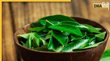 Curry Leaves Benefits: रोज सुबह खाली पेट चबाएं करी पत्ता, पास भी नहीं फटकेंगी मॉर्निंग सिकनेस समेत ये 5 बीमारियां