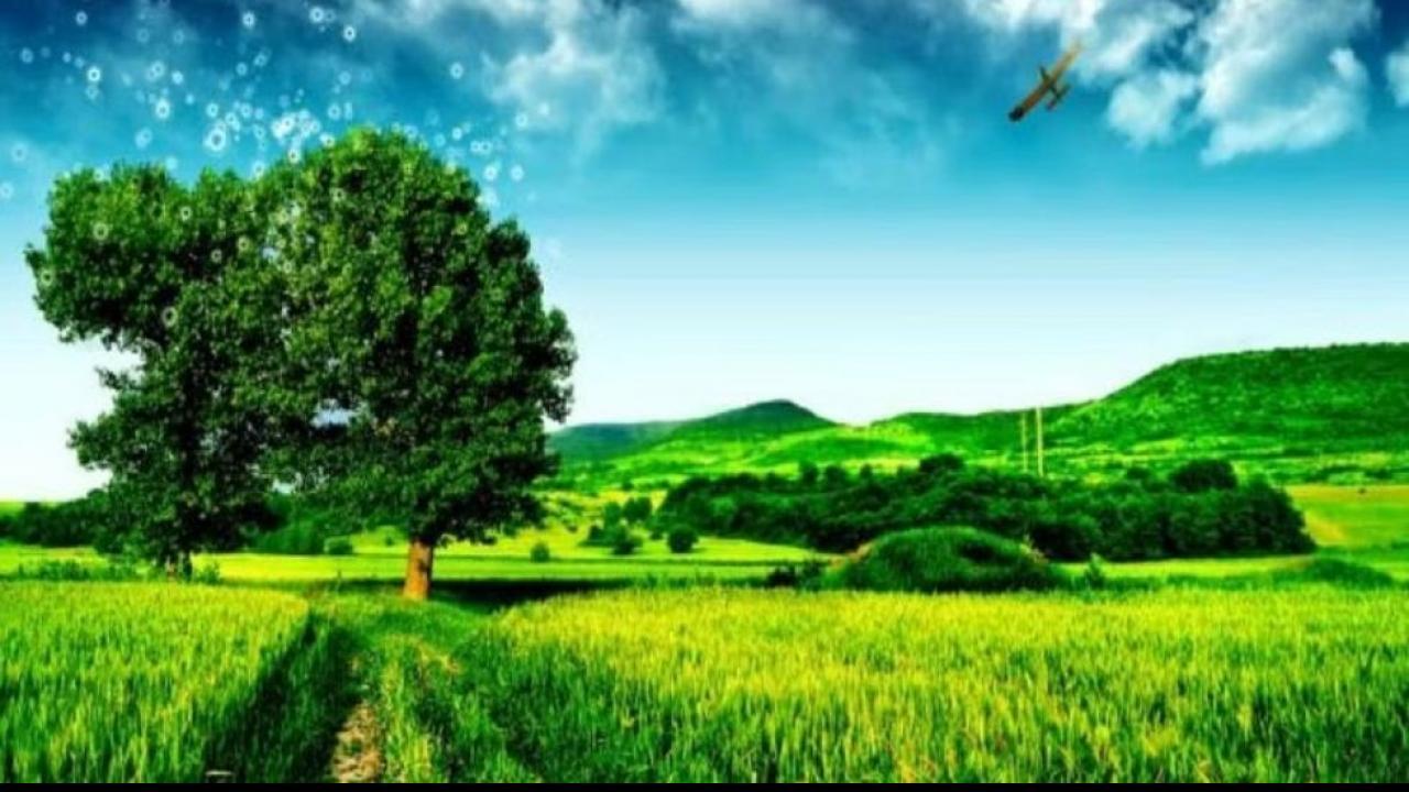 Seeing Green Field in Dream Meaning