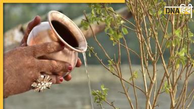 Tulsi puja Niyam: तुलसी की पूजा करते हुए ये चूक छीन लेगी घर की सुख-शांति, जान लें ये 5 बातें