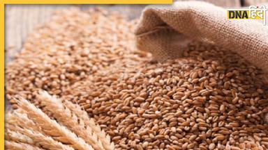 Wheat Price: गेंहूं पर सरकार लगाएगी स्टॉक लिमिट,व्यापारियों को बेचे जाएंगे 15 लाख टन गेंहूं