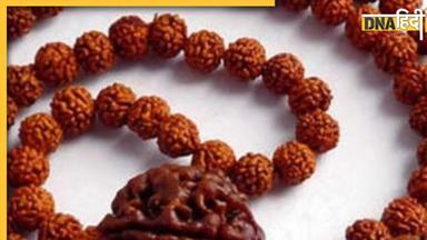 Rudraksha ke fayde: एकाग्रता बढ़ाने से लेकर संकटों को दूर रखता है रुद्राक्ष, जानें 1,2,4 और 7 मुखी वाले रुद्राक्ष के फायदे