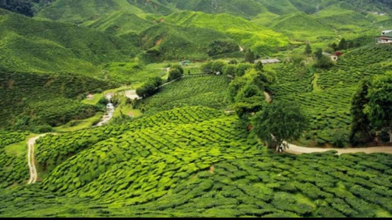 दार्जलिंग (Darjeeling)