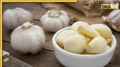 Raw Garlic Benefits: बासी मुंह लहसुन चबाना इन 7 बीमारियो की है दवा, वजन से लेकर कोलेस्ट्रॉल-बीपी तक होगा कम