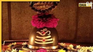 Sawan Shivling Puja: सावन में सिर्फ बेलपत्र ही नहीं, शिवलिंग पर चढ़ा सकते हैं ये 5 पत्ते, कृपा करेंगे महादेव