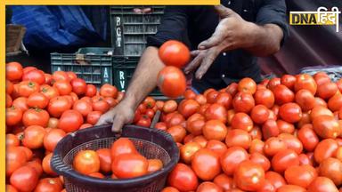 Tomato Latest Price: इन तीन राज्यों में 70 रुपये किलो बिक रहा टमाटर, NCCF ने 15 दिन में बेचे 560 टन 