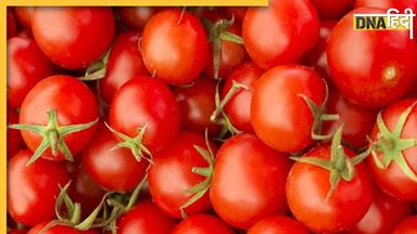 Tomato Price: 2 रुपये किलो भी क्यों नहीं बिक पा रहा टमाटर, जानें आखिर क्यों गिरे दाम