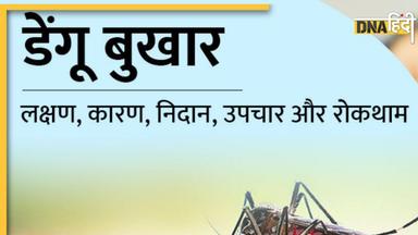 Dengue Care: लक्षणों से लेकर सावधानियों तक: डेंगू के बारे जान लें सबकुछ, इमरजेंसी में नहीं जाना पड़ेगा अस्पताल